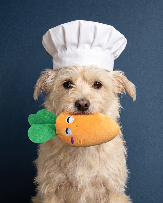 Carrot Dream Buddy Plush Dog Toy