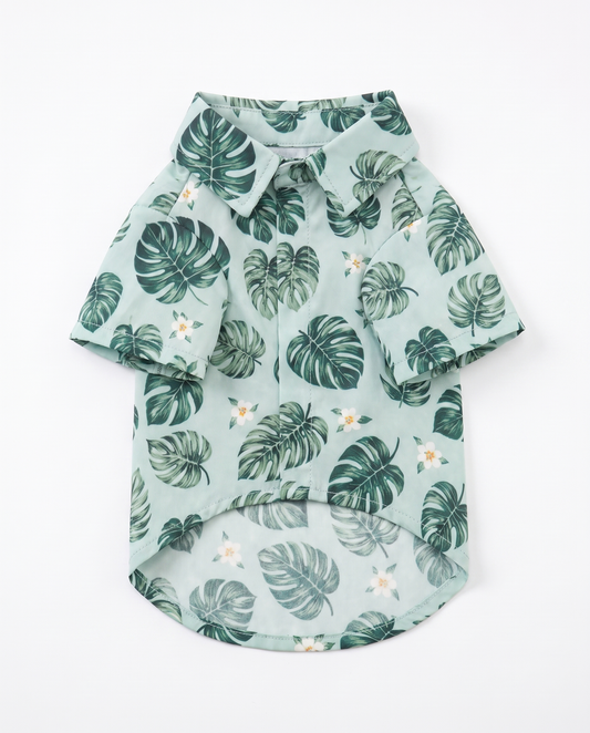 Tropical Monstera Pet Hawaiian Shirt