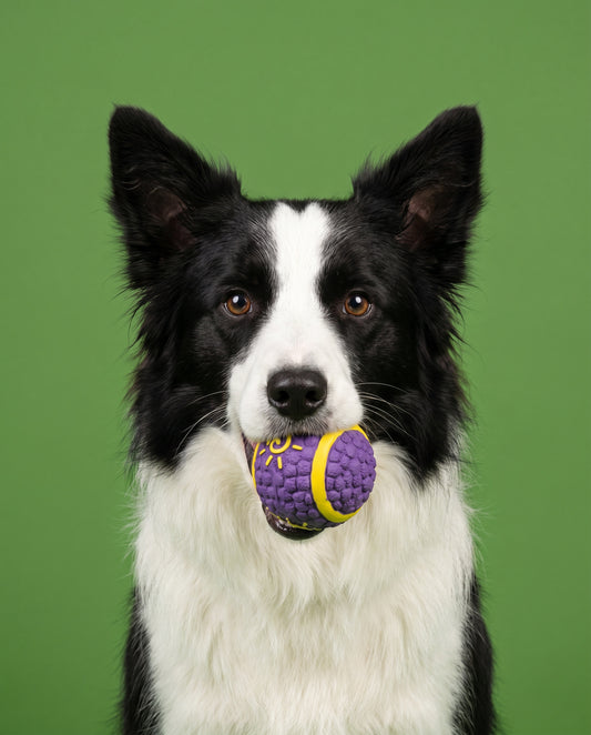 Pup Court Champ Ball