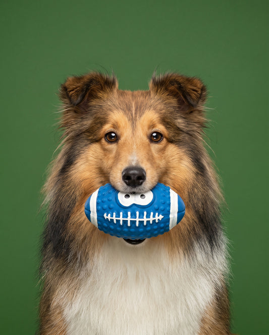 MVP Pup Football