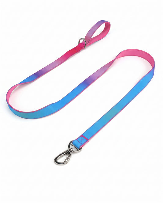 Berry Blast Gradient Dog Leash