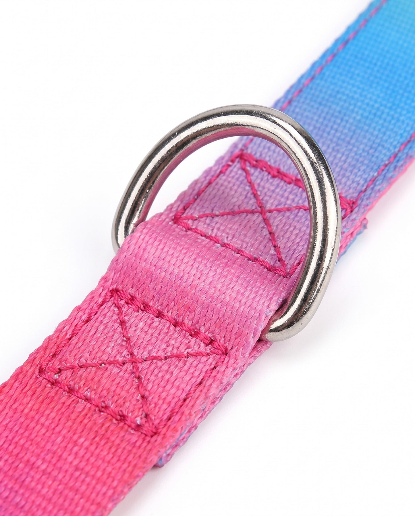 Berry Blast Gradient Dog Leash