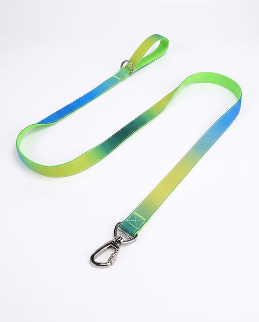 Neon Oasis Gradient Dog Leash