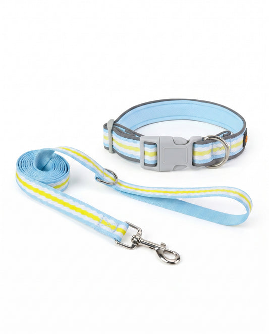 Clear Skies Striped Dog Collar & Leash Set