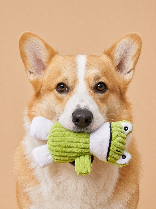 Froggy Friend Plush Toy