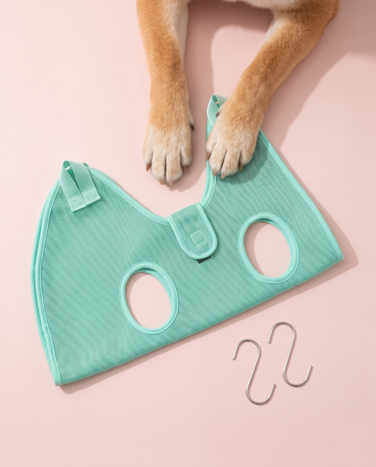 Minty Fresh Green Pet Grooming Hammock