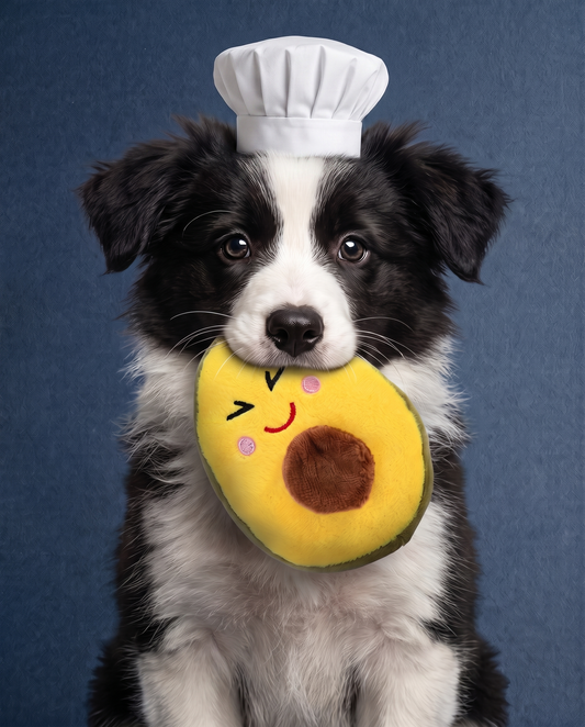 Happy Avocado Buddy Plush Dog Toy