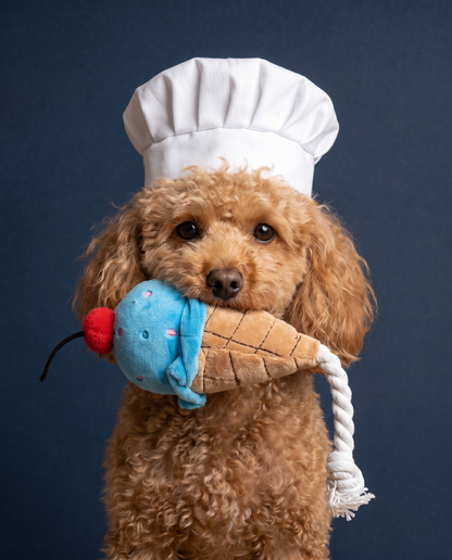 Blueberry Swirl Rope Cone Dog Toy