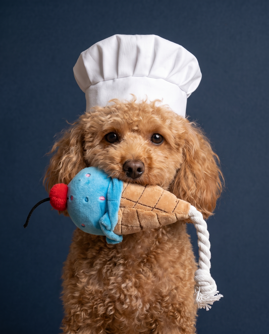 Blueberry Swirl Rope Cone Dog Toy