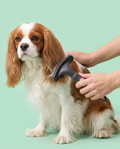 Tangle-Tamer Double-Row Pet Undercoat Rake