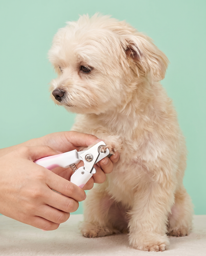Pretty-in-Pink Pet Nail Clipper & File Set