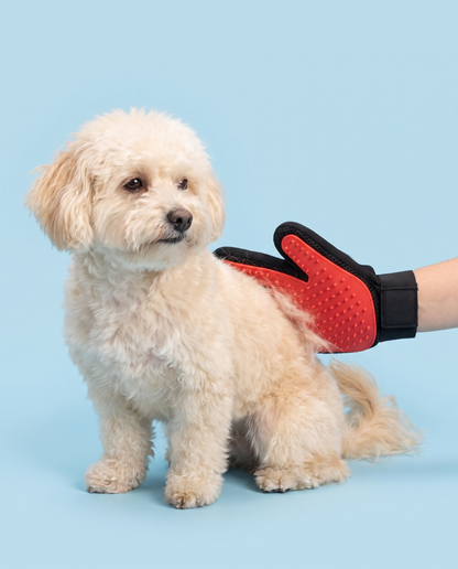 Magic Touch Pet Grooming Glove