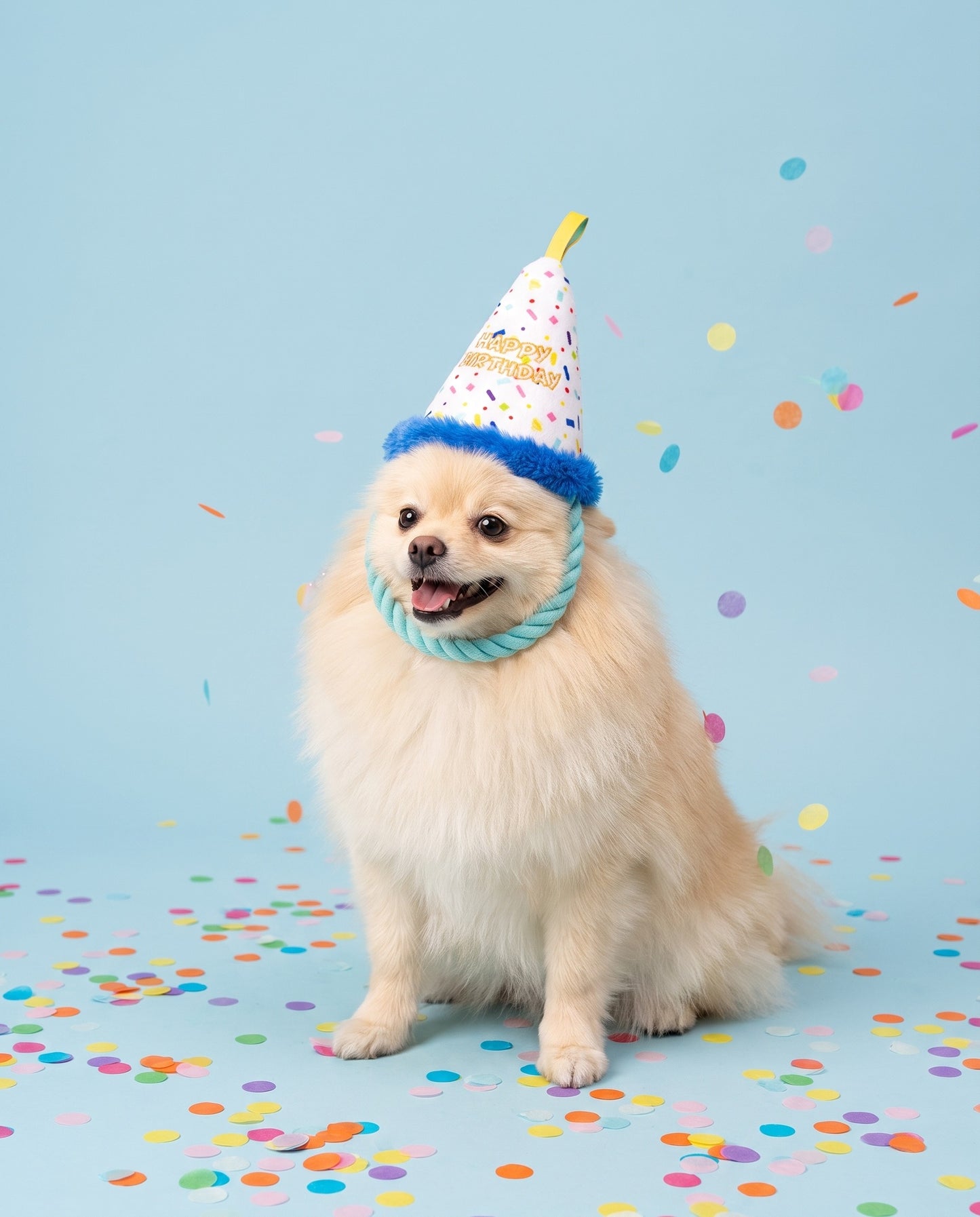 Paw-ty Time Birthday Hat Plush Dog Toy
