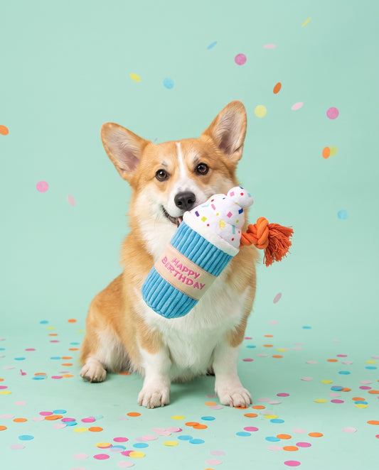 Sweet Celebration Birthday Milkshake Plush Dog Toy