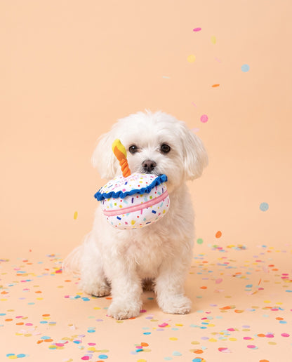 Slice of Heaven Birthday Cake Plush Dog Toy