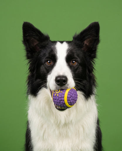 Pup Court Champ Ball