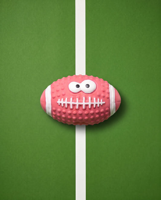 Touchdown Cutie Football Dog Toy