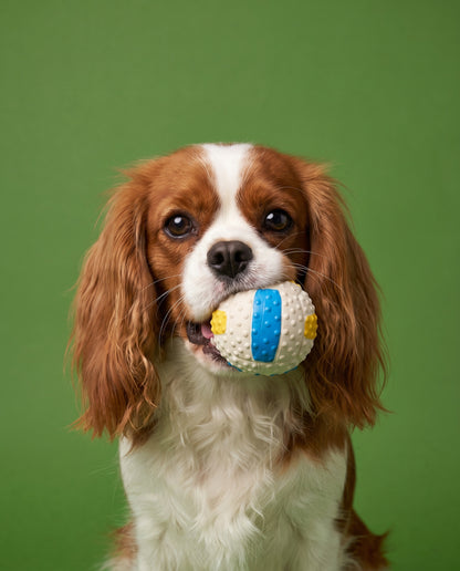 Playtime Pro Pup Ball