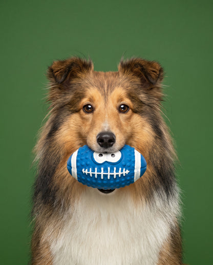 MVP Pup Football