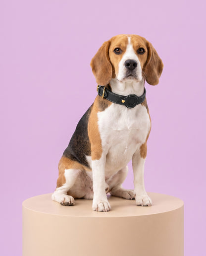 Classic Black Leather AirTag Dog Collar