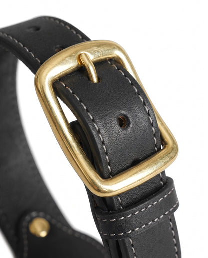 Classic Black Leather AirTag Dog Collar