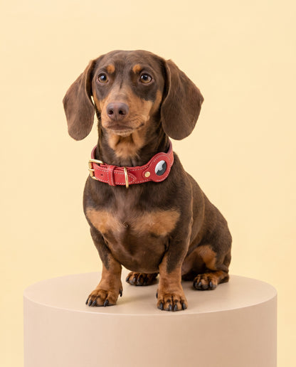Bold Red Leather AirTag Dog Collar
