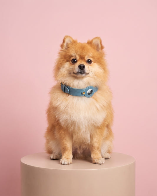 Sky Blue Leather AirTag Dog Collar