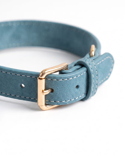 Sky Blue Leather AirTag Dog Collar