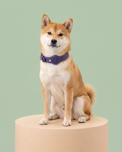 Plum Purple Leather AirTag Dog Collar