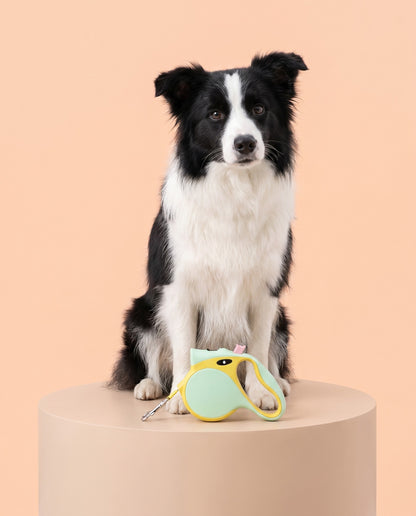 Pastel Mint & Yellow Retractable Dog Leash