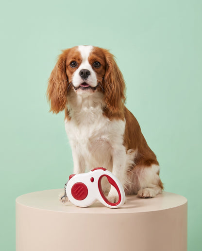 Classic Red & White Retractable Dog Leash