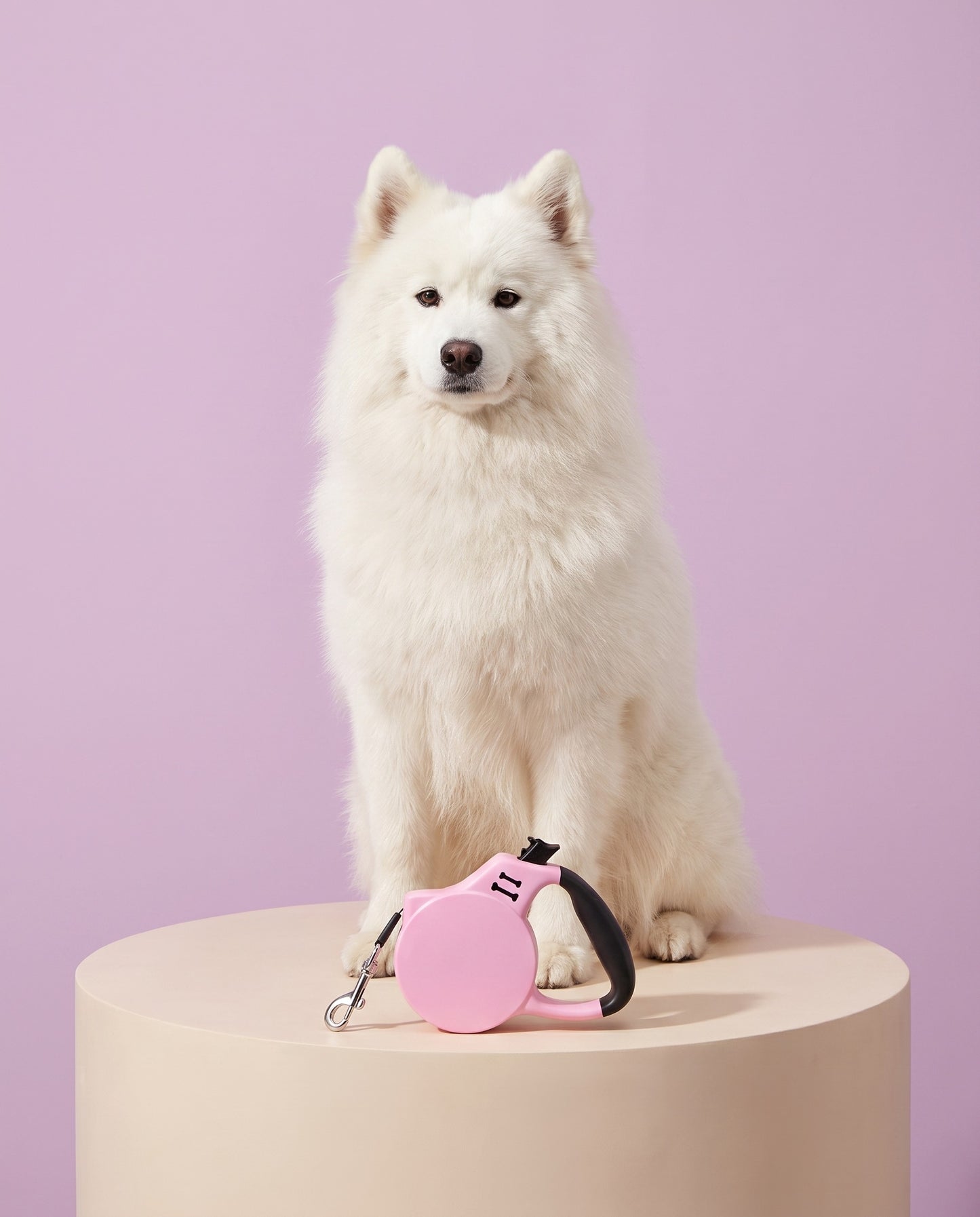 Bubblegum Pink Retractable Dog Leash