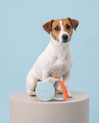 Teal & Orange Retractable Dog Leash