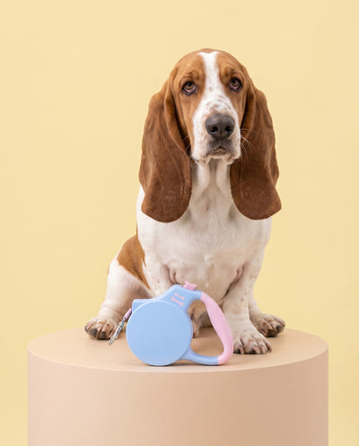 Pastel Paws Retractable Dog Leash