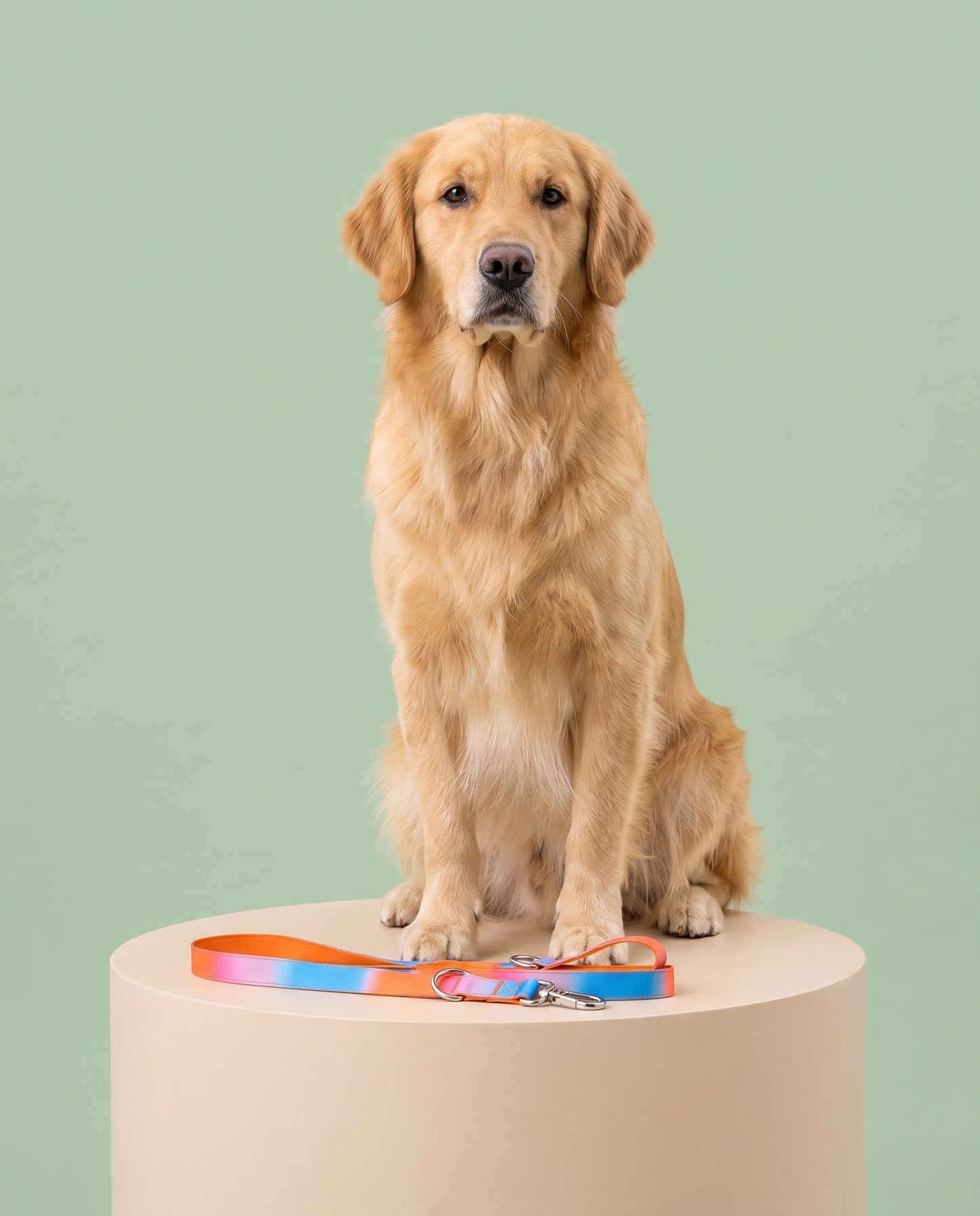 Sunset Dreamer Gradient Dog Leash