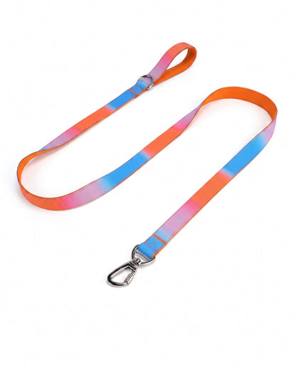 Sunset Dreamer Gradient Dog Leash