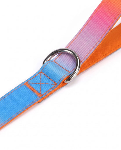 Sunset Dreamer Gradient Dog Leash