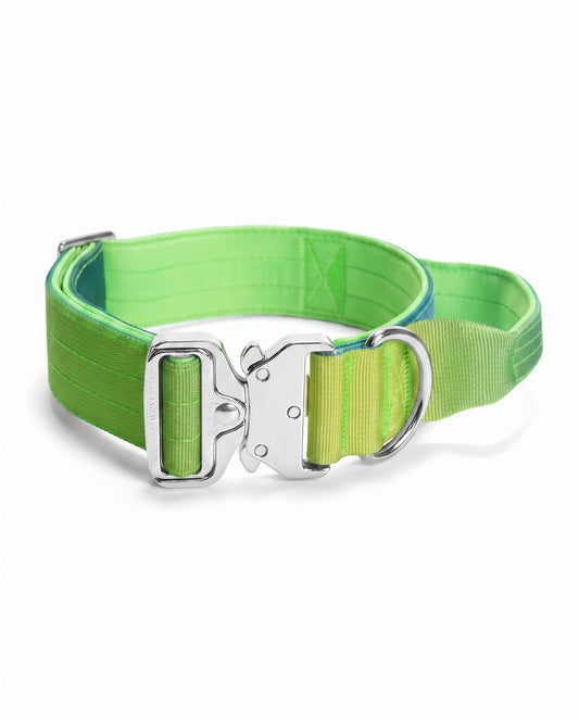 Neon Oasis Gradient Tactical Dog Collar