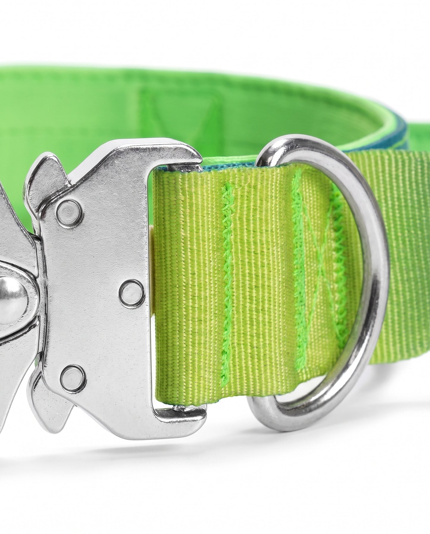 Neon Oasis Gradient Tactical Dog Collar