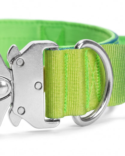 Neon Oasis Gradient Tactical Dog Collar