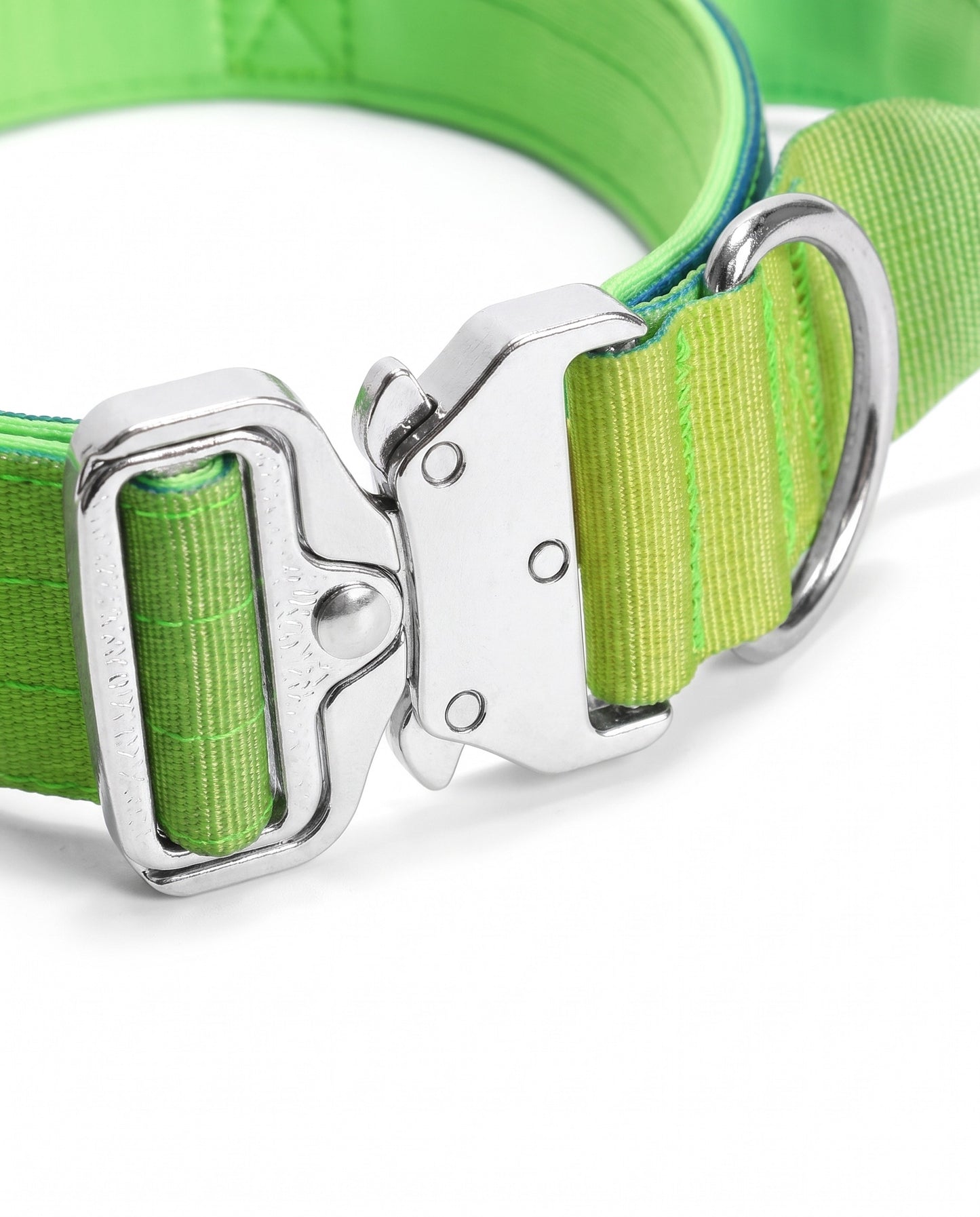 Neon Oasis Gradient Tactical Dog Collar