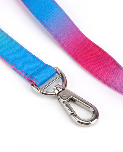 Berry Blast Gradient Dog Leash