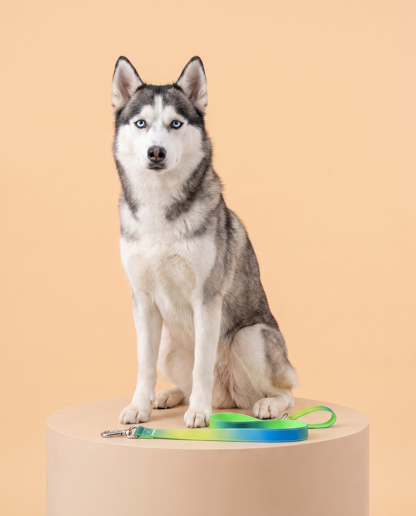 Neon Oasis Gradient Dog Leash