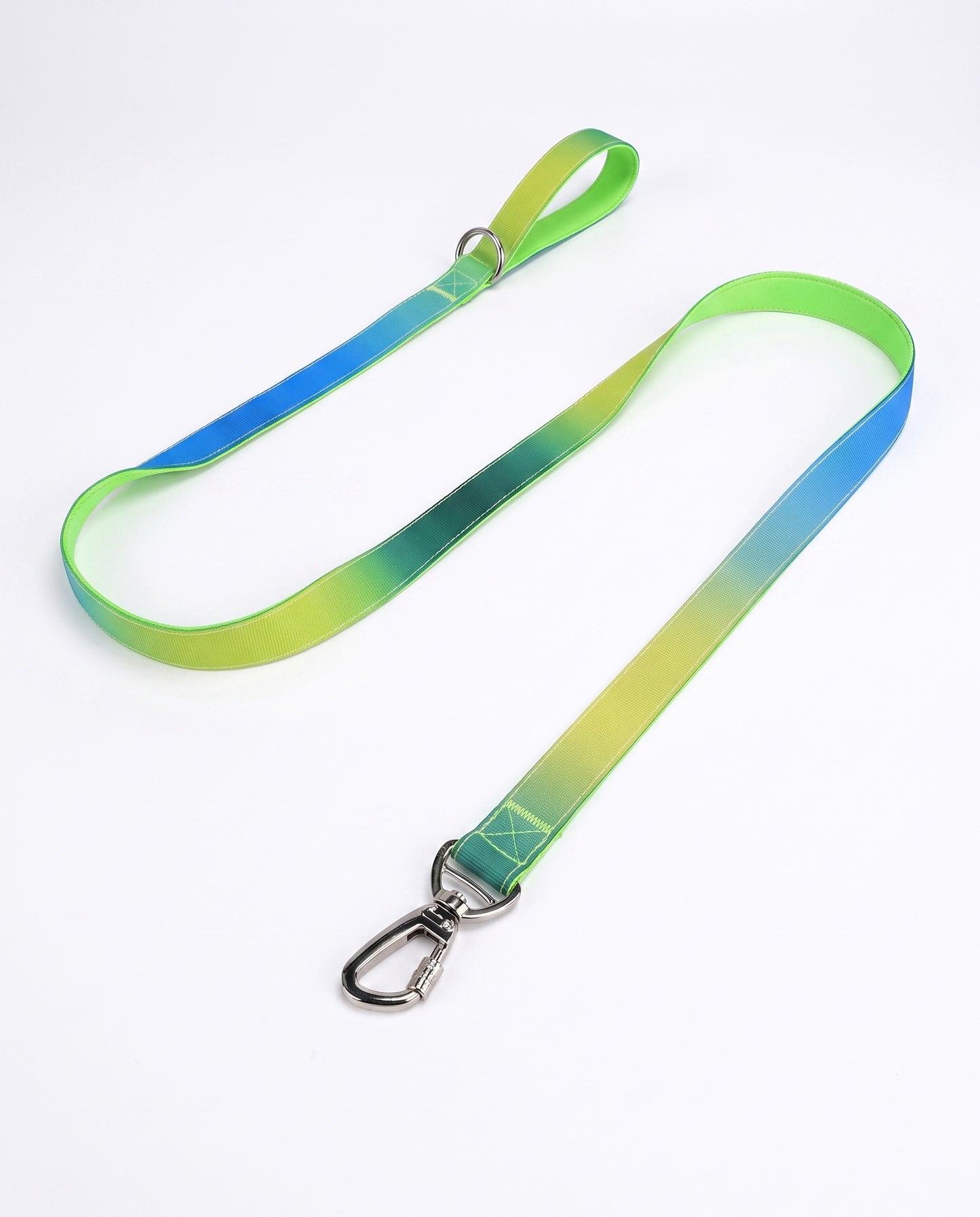 Neon Oasis Gradient Dog Leash