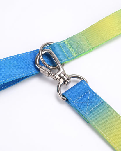Neon Oasis Gradient Dog Leash