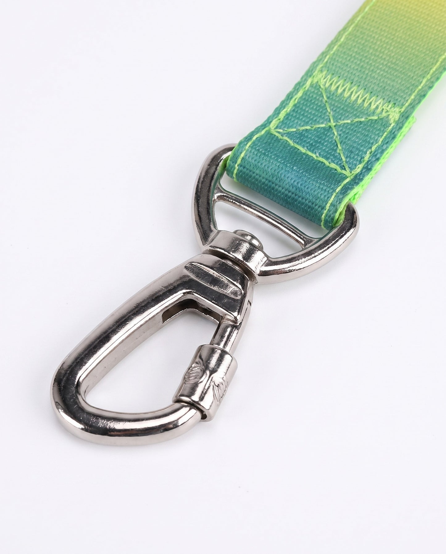 Neon Oasis Gradient Dog Leash