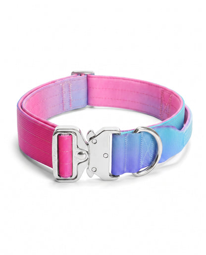 Berry Blast Gradient Tactical Dog Collar
