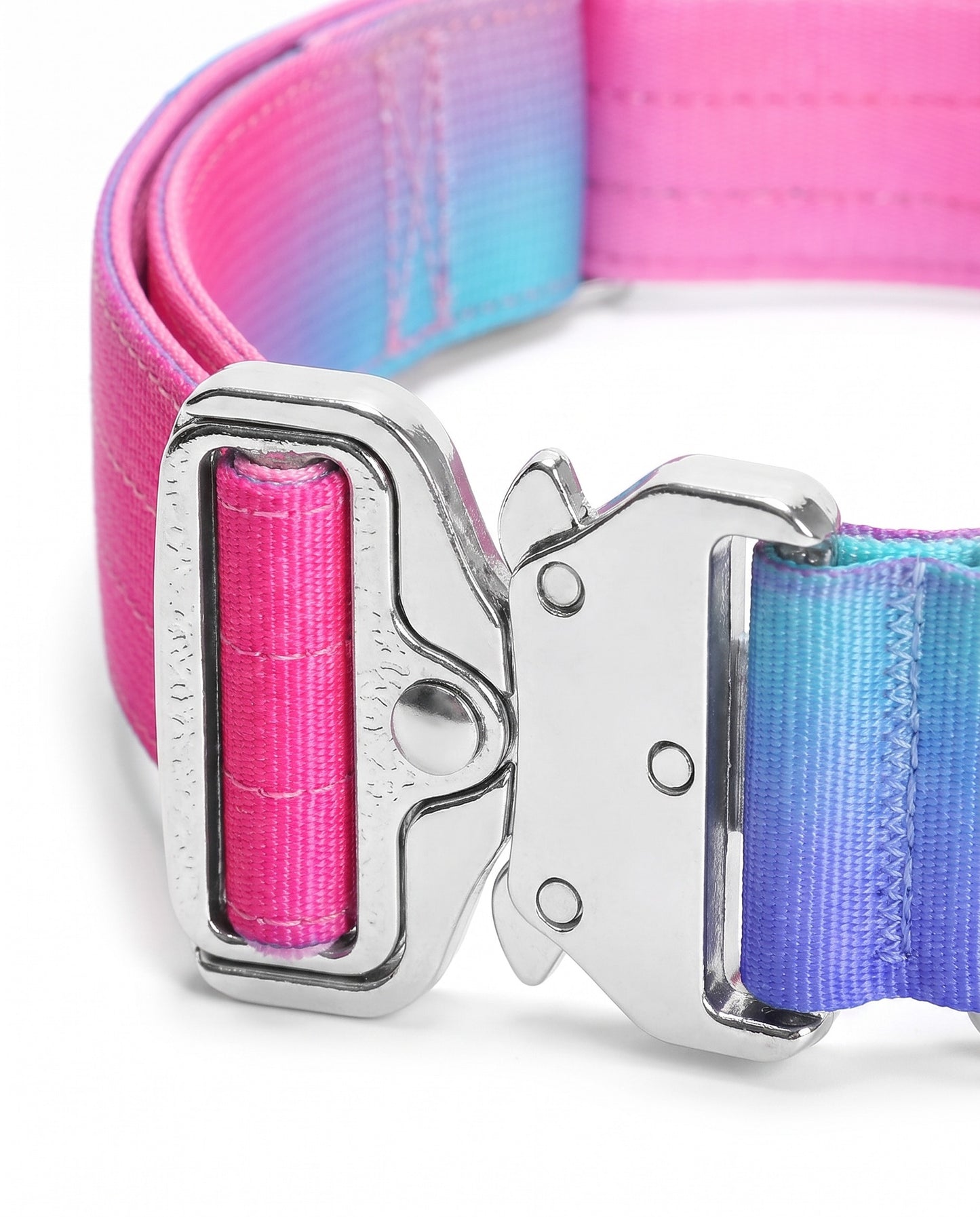Berry Blast Gradient Tactical Dog Collar