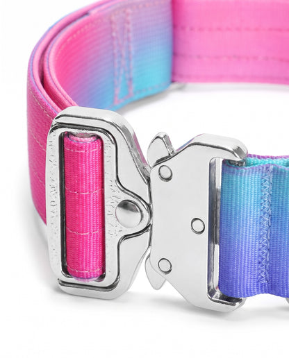 Berry Blast Gradient Tactical Dog Collar