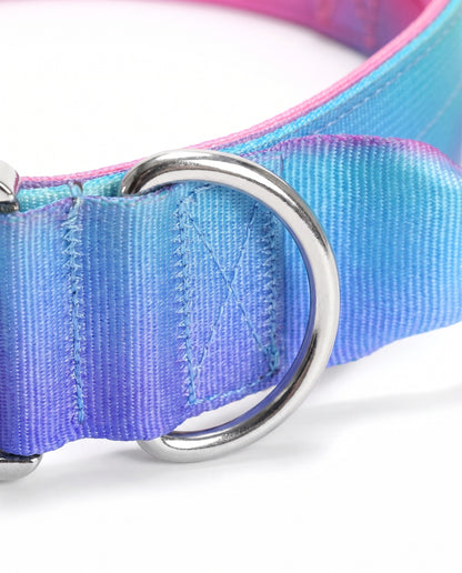 Berry Blast Gradient Tactical Dog Collar